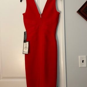 Bebe gorgeous dress
